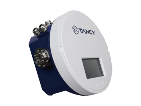 TGC Online GasChromatography Analyzer