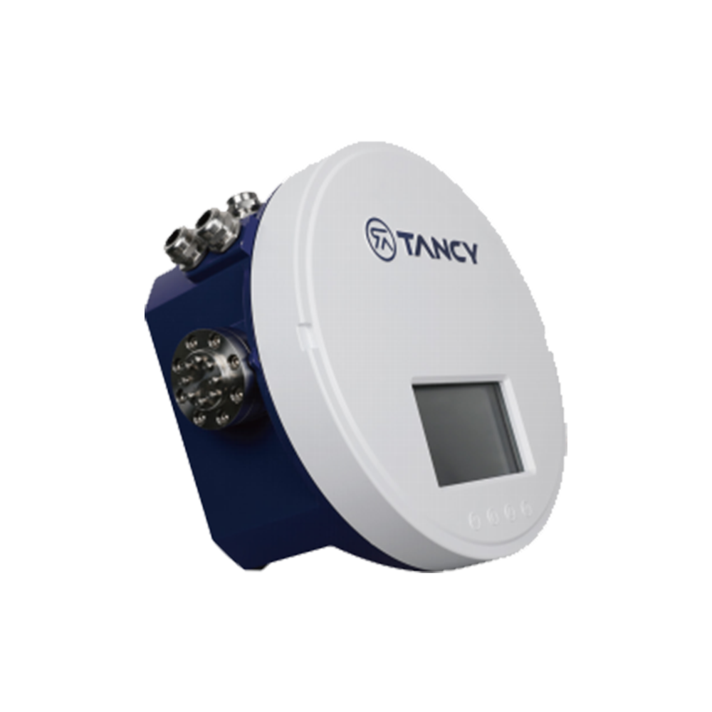 TGC Online GasChromatography Analyzer