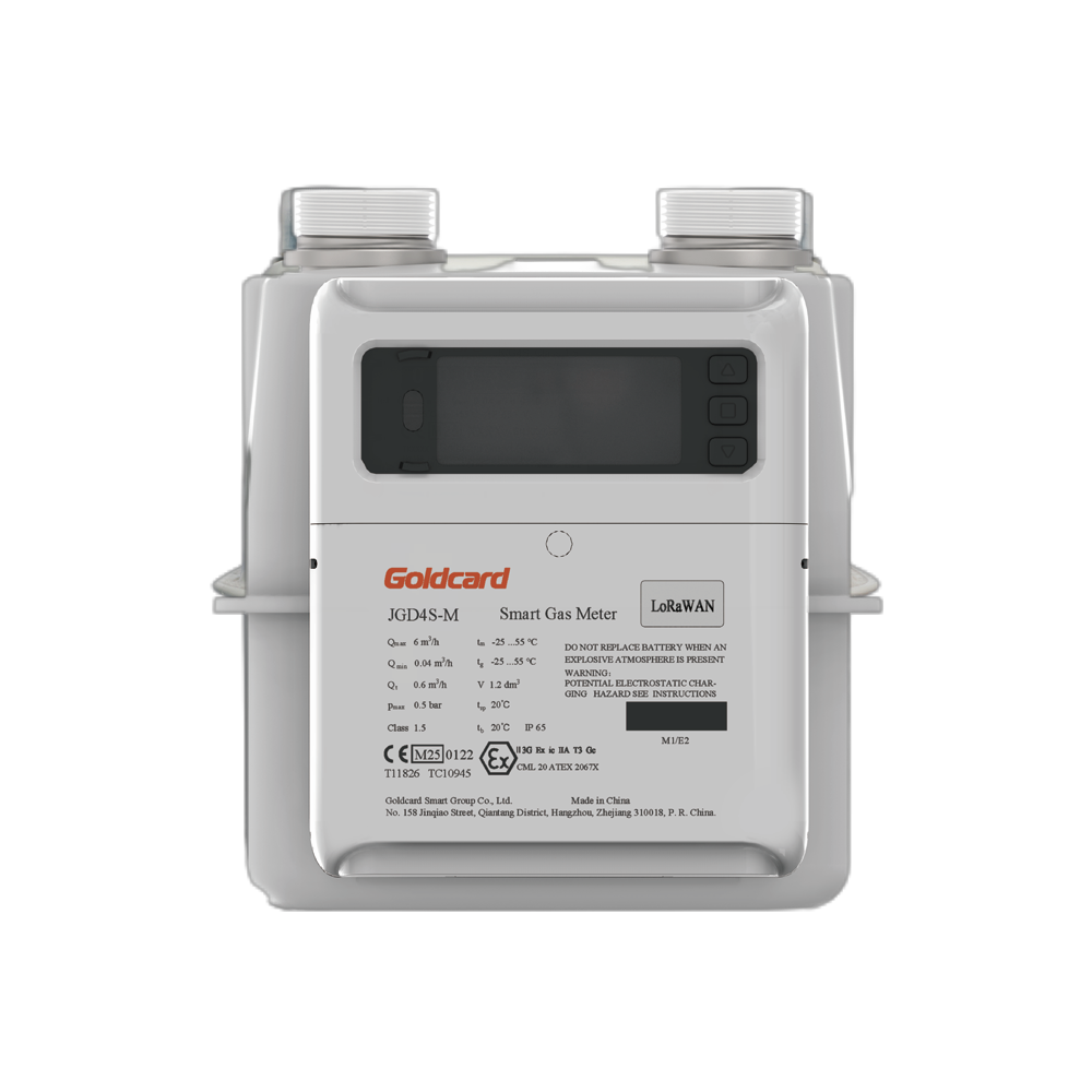 3_INFINITY Smart Gas Meter INFINITY Smart Gas Meter