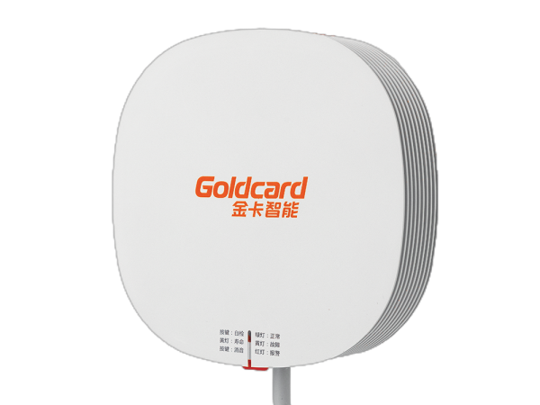 Laser-Based Gas Detector